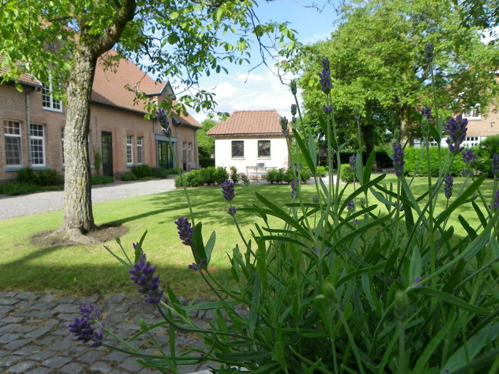 Hotel B - Boskapelhoeve Buggenhout Exterior photo